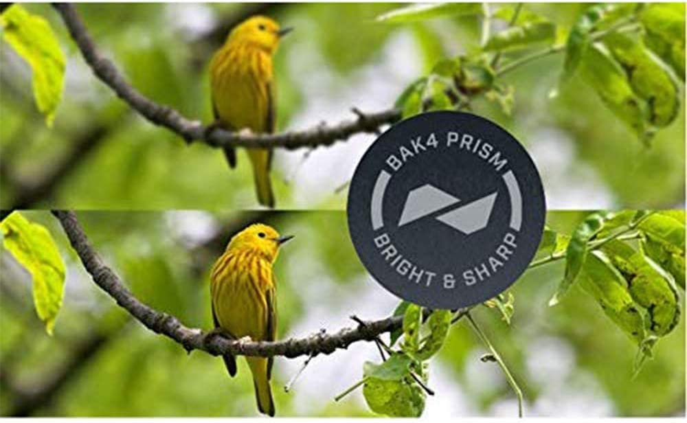 Bushnell H2O Roof Prism Binoculars