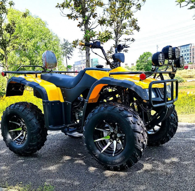 250cc Four-Wheel Drive ATV  Quad ATV Farmer Quad Bike