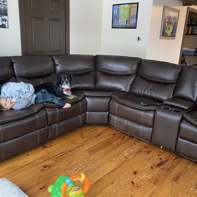 【Furniture】Mirabel 3 - Piece Vegan Leather Sectional