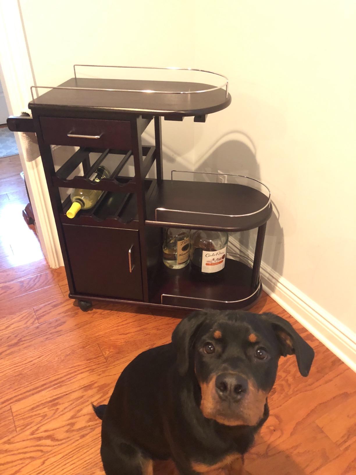 【Furniture】Winsome Trading, Inc. Jimmy Cart, Espreso